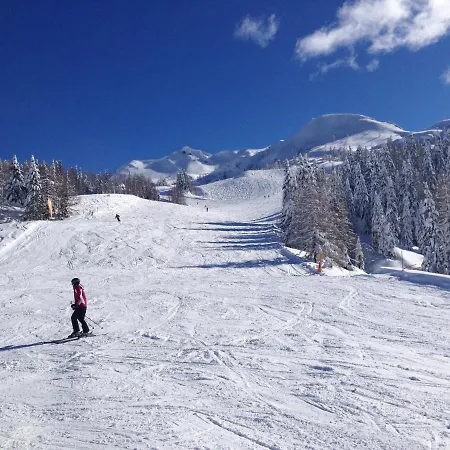 Appartamento Alpenchic